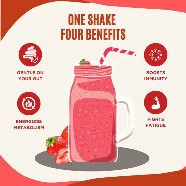 2X Slimfast Meal Replacement Blueberry And Raspberry & White Chocolate - Image 3