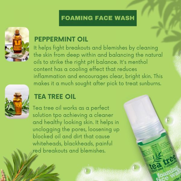 3X Tea Tree XBC Facial Scrub, Tea tree Facial Toner And Tea tree Foaming Face Wash - Image 3