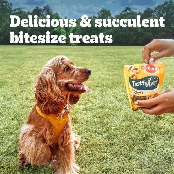 4X Pedigree Tasty Minis Dog Treats - Image 4