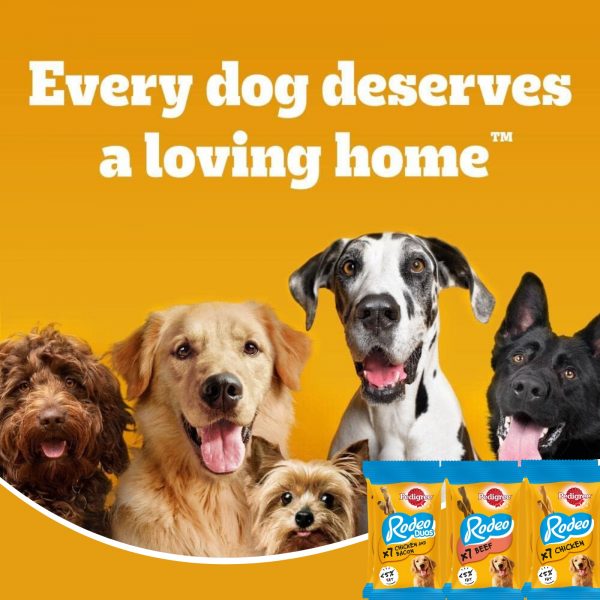 6X Rodeo Adult Dog Treats Chicken & Bacon, Beef and Chicken - Image 5