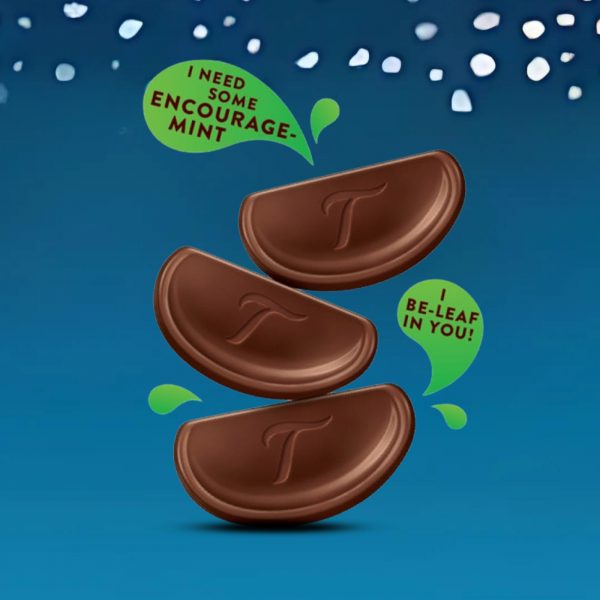 3X Terry's Chocolate Mint Milk - Image 2