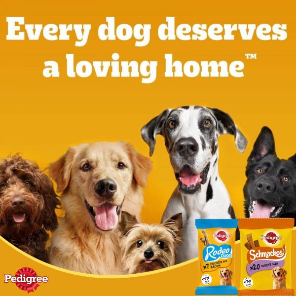 4X Pedigree Schmackos Multi Mix 20 pcs & Rodeo Chicken and Bacon 7 pcs - Image 6